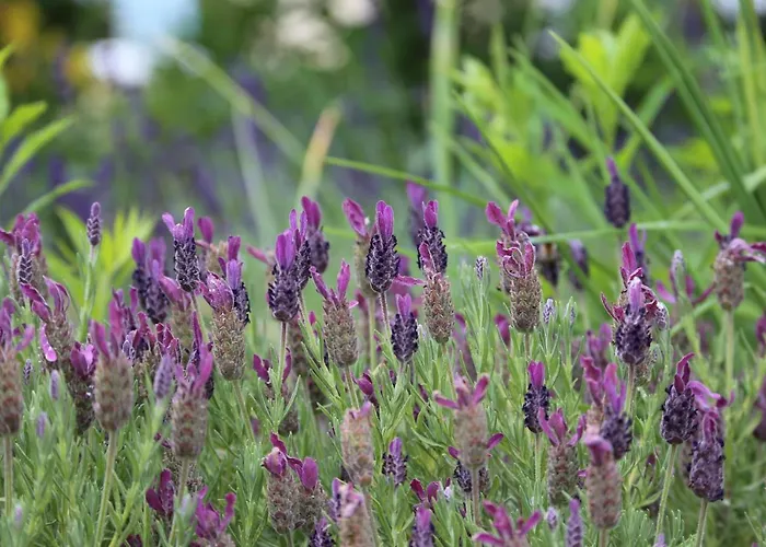 Am Stadtgarten * Simmern (Rhein-Hunsruck-Kreis)